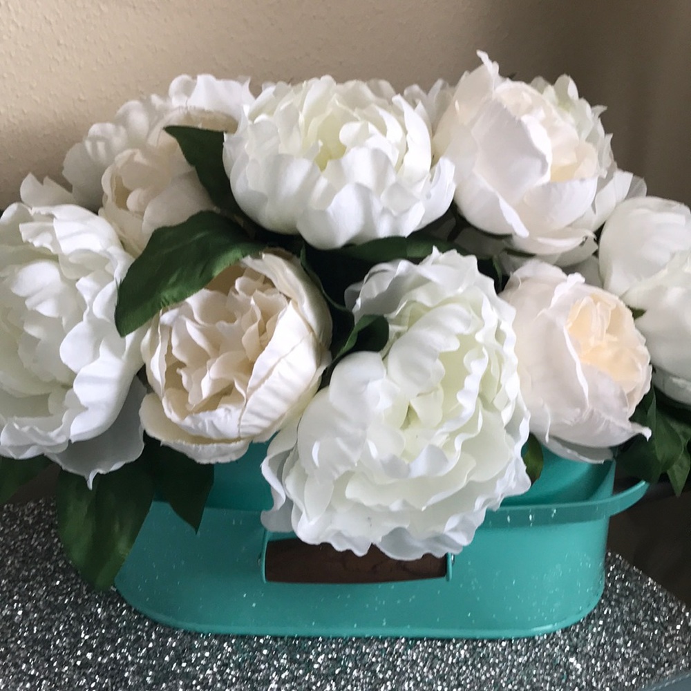 Meet your Posher, Denise